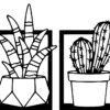 4cactus SSDECO.es | Cuadro Decorativo de Cactus - Set de 4 Piezas - 40x100 cm - Arte Minimalista en Madera MDF Negra